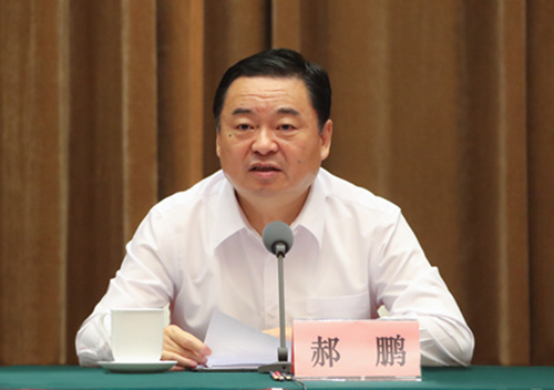 郝鵬、國資、央企、國資委、書記、主任、國企、企業(yè)改革